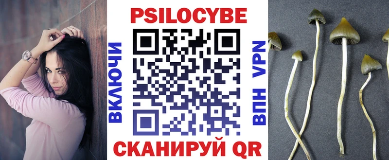 дарнет шоп  Верхняя Пышма  Псилоцибиновые грибы GOLDEN TEACHER 
