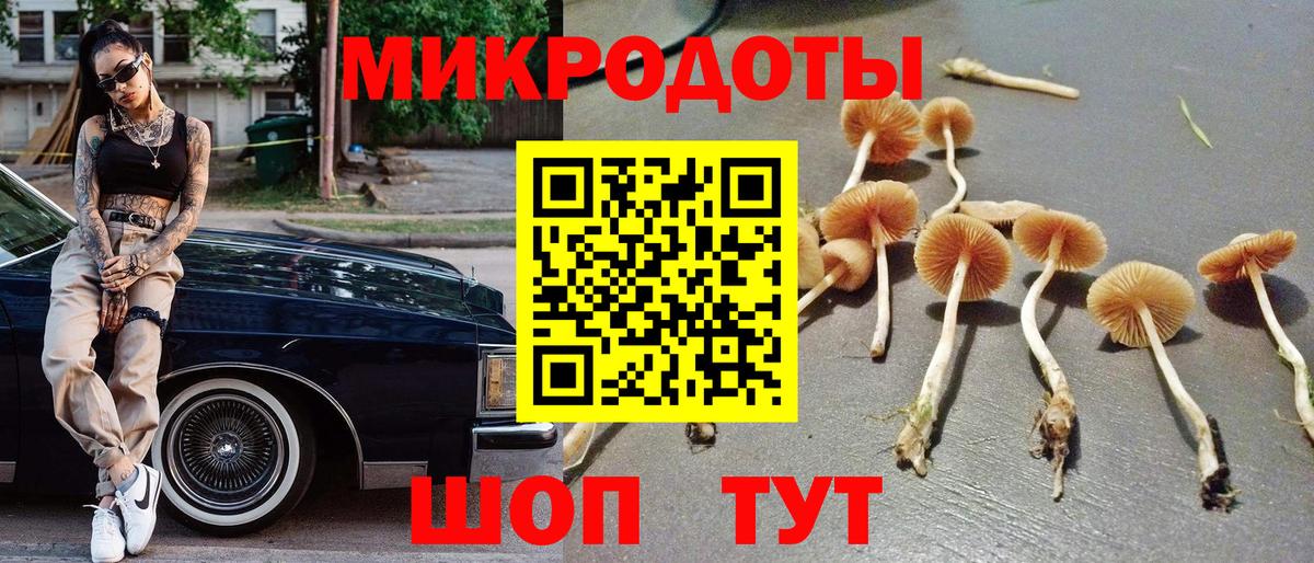 Псилоцибиновые грибы Magic Shrooms  Галлюциногенные грибы Cubensis  Верхняя Пышма  Вход с VPN 