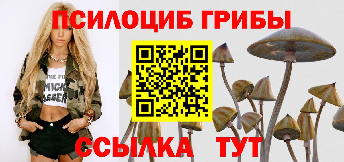 Галлюциногенные грибы Psilocybe  Верхняя Пышма 