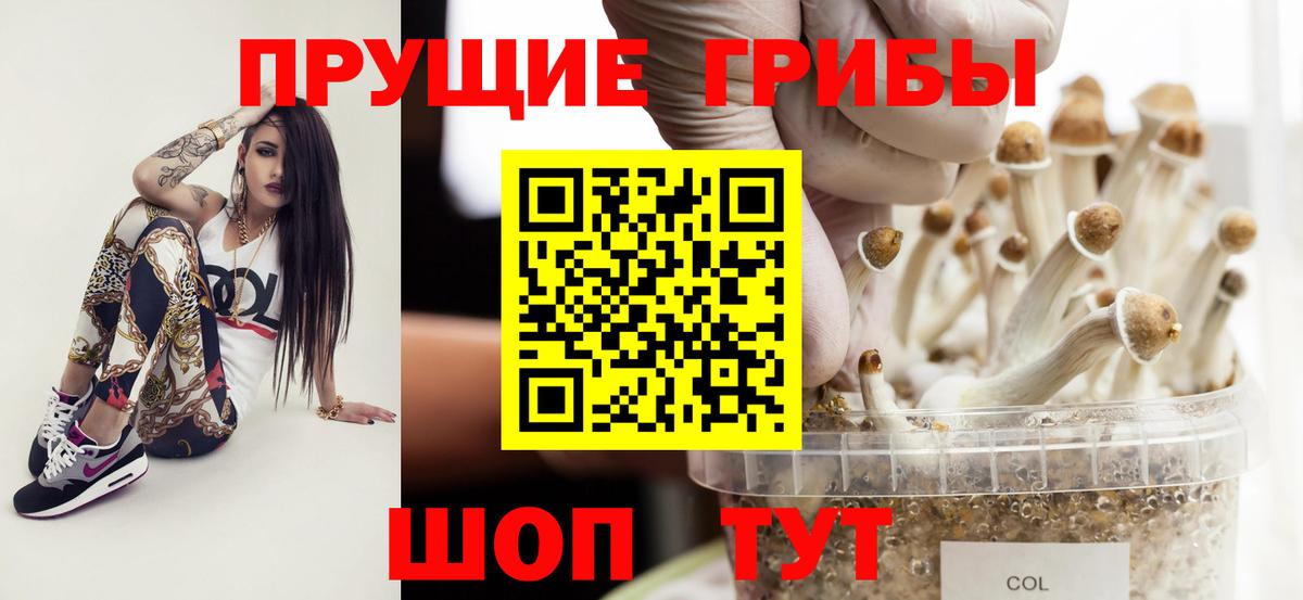 Галлюциногенные грибы Magic Shrooms Верхняя Пышма